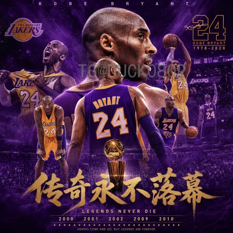 2026美加墨世界杯球队名单前瞻：夺冠热门与黑马深度分析